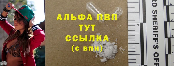 a pvp Аркадак