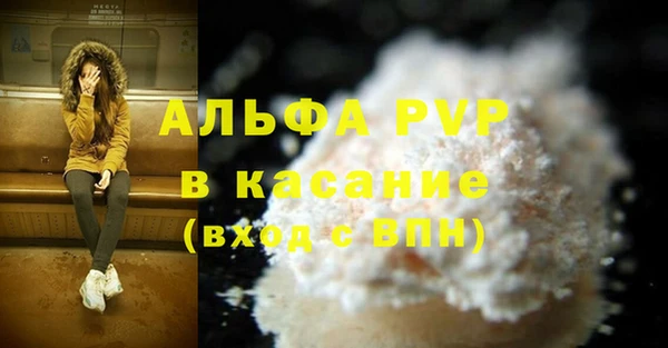 a pvp Аркадак