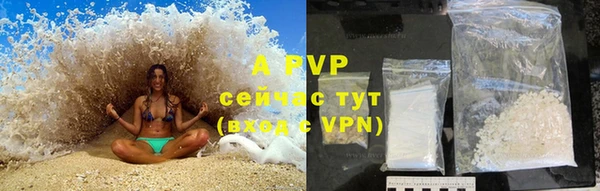 a pvp Аркадак